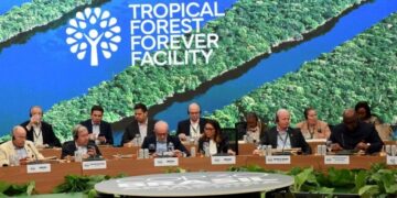 Світова продовольча безпека: стартує International Conference on Forestry 2026