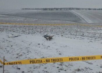 На півночі Молдови знайшли російський дрон «Гербера»