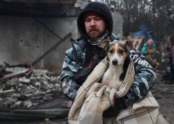 Окупанти пошкодили собачий притулок у Запоріжжі