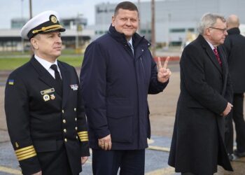 Залужный рассказал о политических амбициях