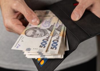 Не только ВПЛ: кто из украинцев получит денежную помощь в 2026 году