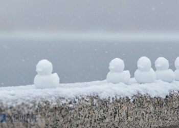 Зима хлопнет дверью: в Украину идет потепление с дождями и штормовым ветром