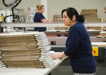 Трудовая интеграция в ЕС: в каких странах украинцы трудоустраиваются быстрее всего