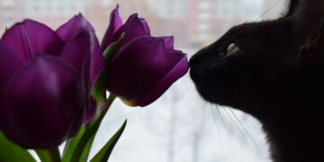 Аномальные холода или внезапная жара: какой погоды ждать украинцам в марте