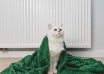 Когда в дома украинцев вернут тепло: Попенко озвучил неутешительный сценарий