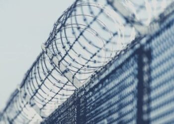 Бюрократический коллапс: почему из 10 заключенных до фронта доезжает только один