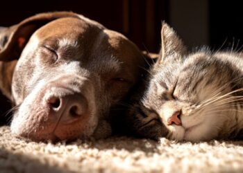 Весна на паузе: синоптик предупредил о резком похолодании