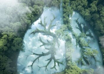 Зелене майбутнє під загрозою: світ відзначає International Day of Forests 2026