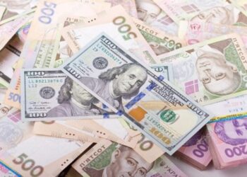 На кордоні службовий пес виявив у пішохідки майже 4 млн грн незадекларованої готівки