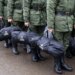 рф перекидає значні сили на Запорізький напрямок – Андрющенко