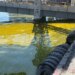 Масштабний розлив олії стався в порту Чорноморська після ворожої атаки – ДЕІ