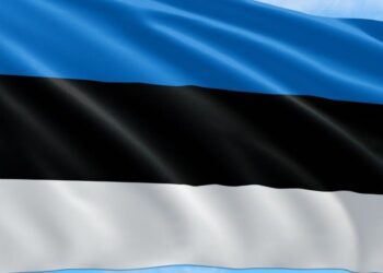 В Естонії заявили про затримання 16 пособників спецслужб РФ