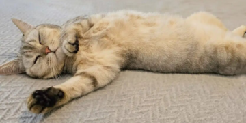 В Украину идут сильные заморозки и мокрый снег: какой погоды ждать на Пасху