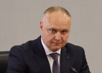 Очільник ДМС України та посол Молдови обговорили впровадження спільного контролю у пасажирських автобусах