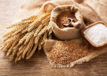 Цены на зерно: Пшеница держит позиции на фоне экспортных колебаний