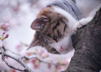 Ветер, заморозки и мокрый снег: синоптик предупредила о резком ухудшении погоды