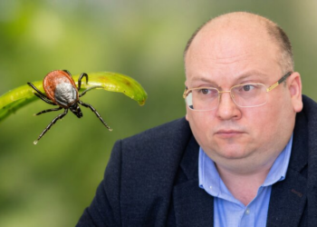 Киев атакует болезнь Лайма: какие симптомы и как не допустить менингит