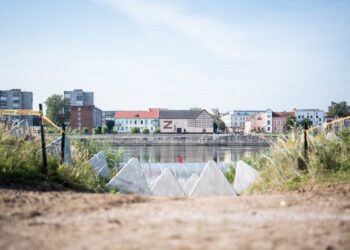 Балтийский капкан: Авакян объяснил, почему Кремль ищет “легкую победу” за пределами Украины