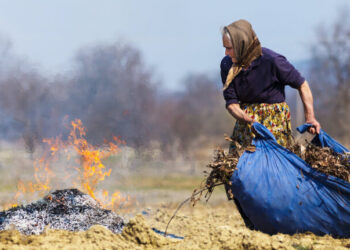 В Украине стартовал сезон штрафов за костры: сколько заплатят за сжигание травы и веток во дворе