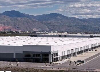 86-річну француженку затримали ICE після переїзду до США