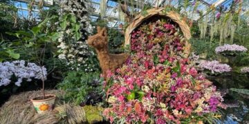 В Україні очікуються дощі та місцями мокрий сніг