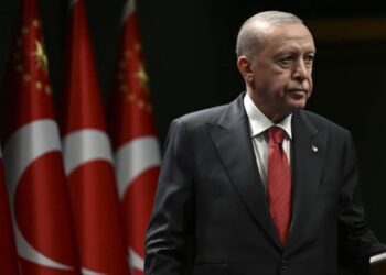 У Туреччині заарештували ще одного опозиційного політика