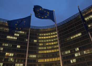 ЄС може ввести санкції проти ізраїльтян, які допомогли РФ продати крадене українське зерно