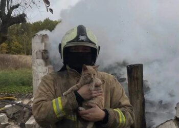 Між вогнем і вибухами: як війна змінила будні українських рятувальників