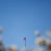 Хакери зламали системи контролю пального на АЗС у США, підозрюють Іран – CNN