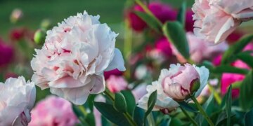 Куди піти у Києві на вихідних 23-24 травня