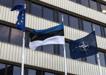 Естонія викликала посла Росії через дезінформацію навколо БПЛА