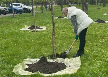 У столиці висадили 633 дерева та кущі
