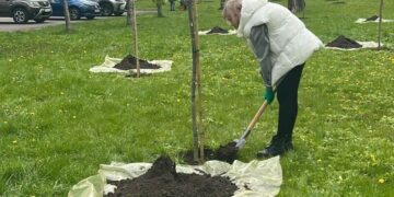 У столиці висадили 633 дерева та кущі