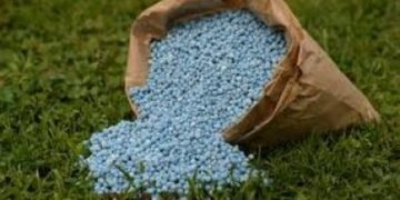 США хоче, щоб Україна допомогла пом’якшити обмеження щодо білоруських добрив – ЗМІ