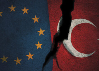 Турция как новый глобальный игрок: Зеленин и Романенко о вызовах для ЕС