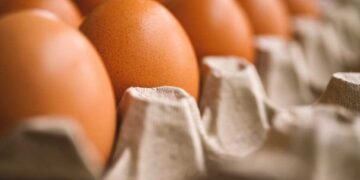 Украина значительно увеличила поставки яиц в ЕС: итоги производства и экспорта