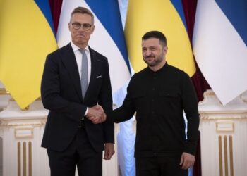 Зеленський скоординував позиції із президентом Фінляндії