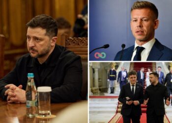 Зеленский прокомментировал “разворот” Венгрии: Мадьяр осудил удар РФ по Закарпатью