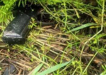 Застрелив двох людей та намагався втекти – у Києві затримали працівника СТО з Грузії