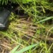 Застрелив двох людей та намагався втекти – у Києві затримали працівника СТО з Грузії