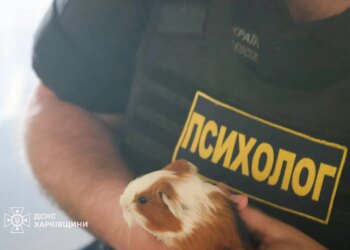 Кілька тварин загинули внаслідок ворожого удару по зоопарку в Харкові