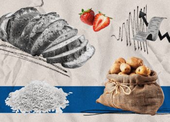 Яйця дорожчають: свіже порівняння цін в українських супермаркетах 18 червня