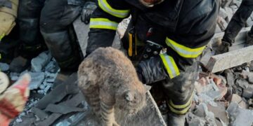 РФ атаковала Украину почти 730 ракетами и дронами: есть погибшие в Киеве и Днепре