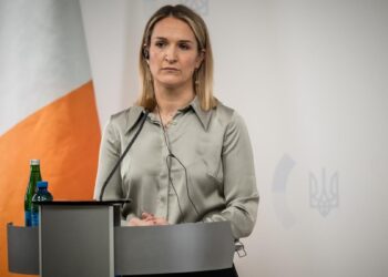 Тверда підтримка України буде визначальним пріоритетом головування Ірландії в ЄС – міністр закордонних справ Макенті