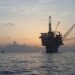 Ціни на нафту обвалилися до довоєнних рівнів
