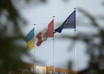 У Вишневому під Києвом триває пожежа після ракетного удару рф, евакуюють людей – Зеленський