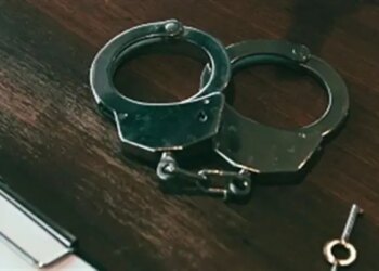 Кричав, бив та залишив у спеку без води: киянин може сісти до в'язниці на три роки за вбивство собаки