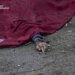Кількість загиблих у Сумах від авіаудару рф зросла до п'яти