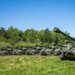 В Україні освоїли ремонт двигунів для САУ M109 за стандартами НАТО