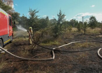 У Голосіївському районі Києва через атаку російського БпЛА вигоріло 1200 кв. м сухої трави – ДСНС